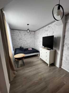 Apartamenty przy parku. Stare Miasto.